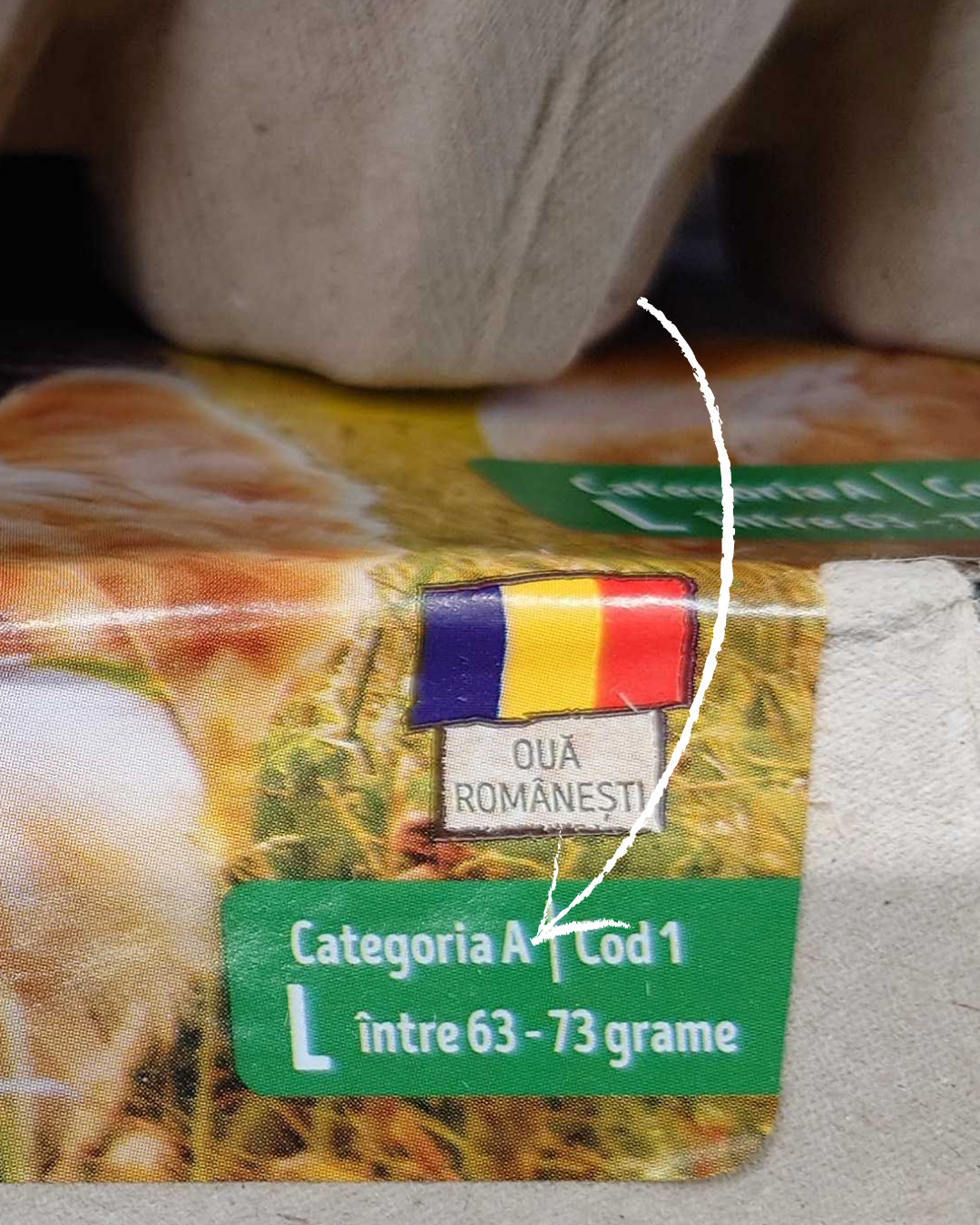 Ouă categoria A