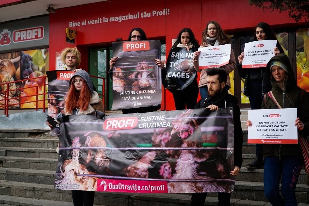 Protest F.R.E.E. în fața PROFI
