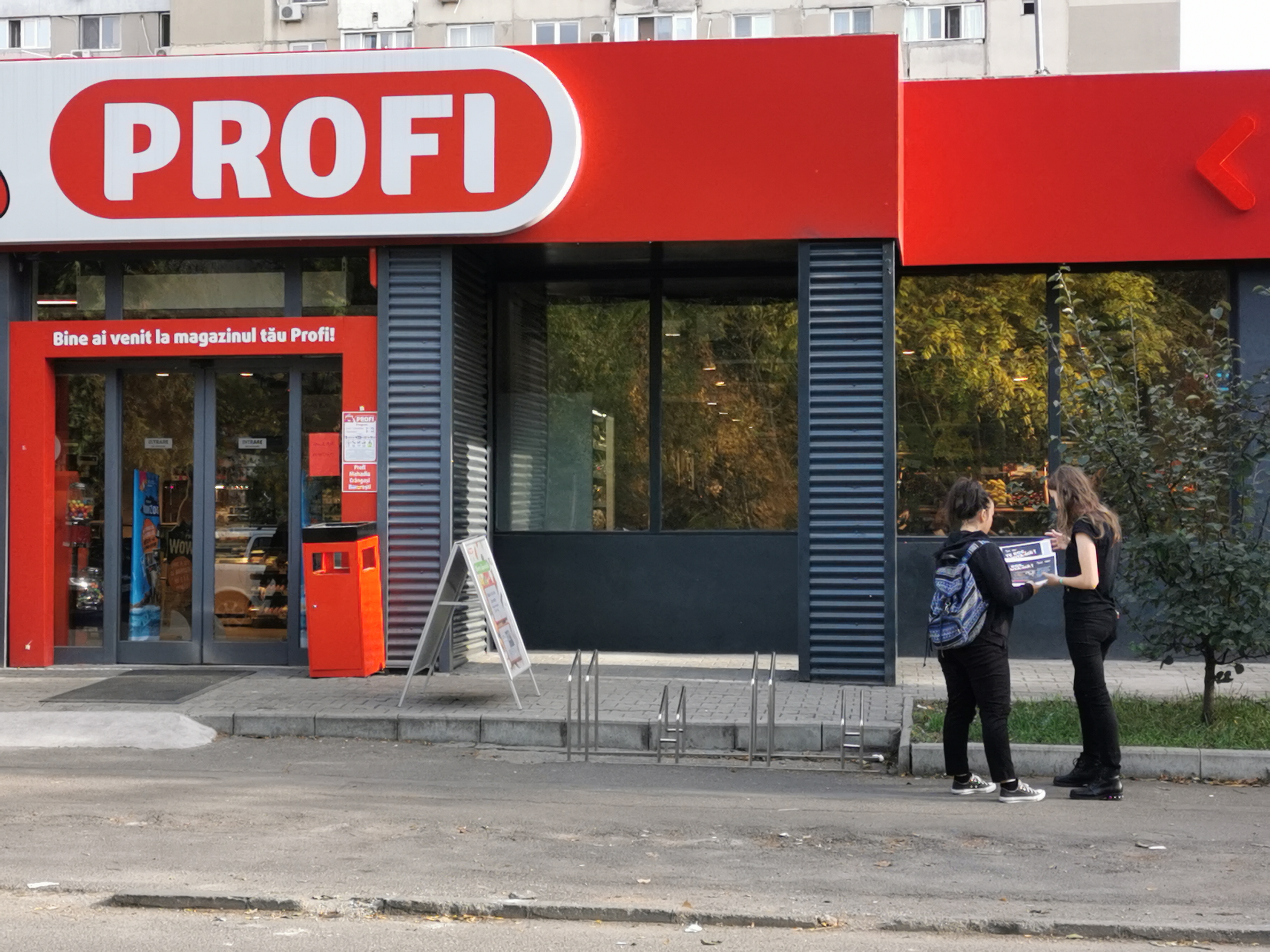 Portret găină 1
