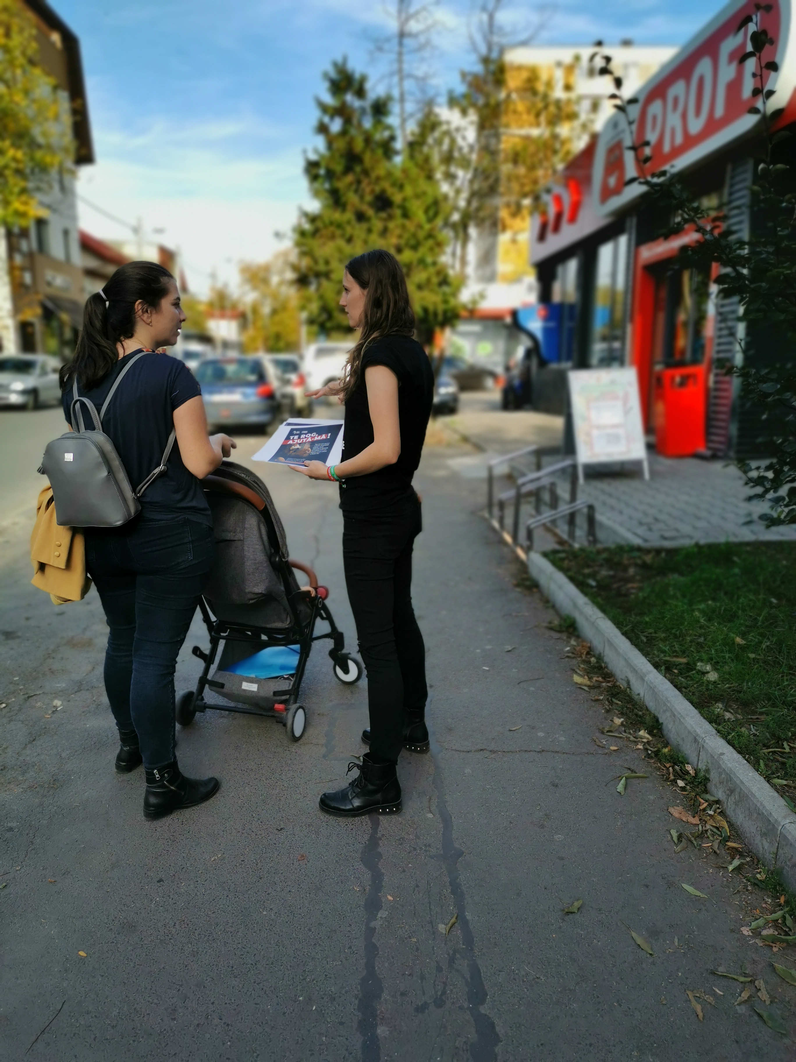 Portret găină 2