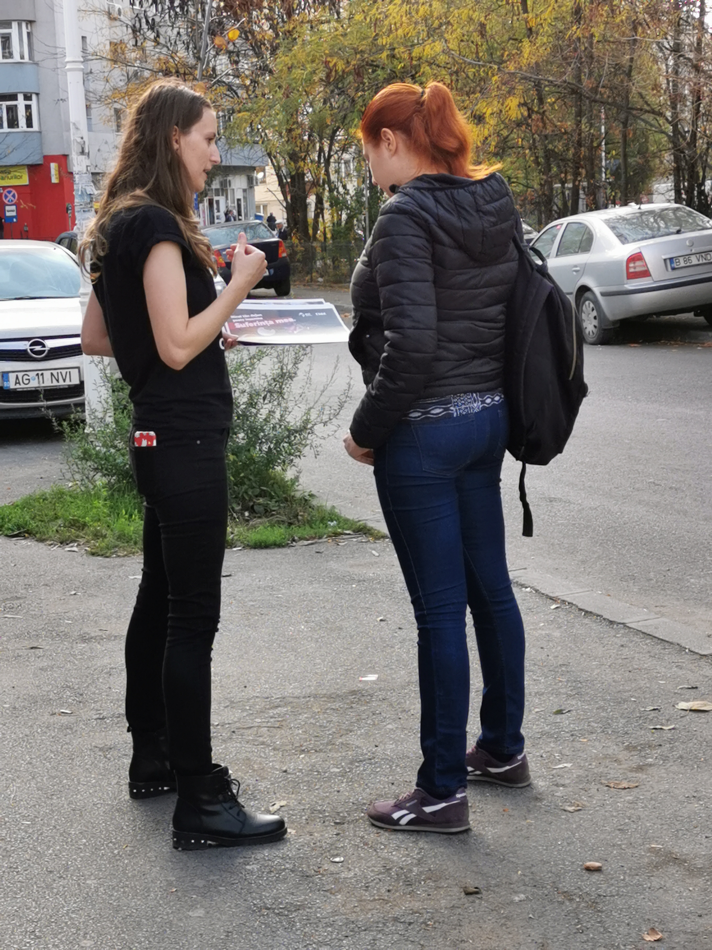 Portret găină 3