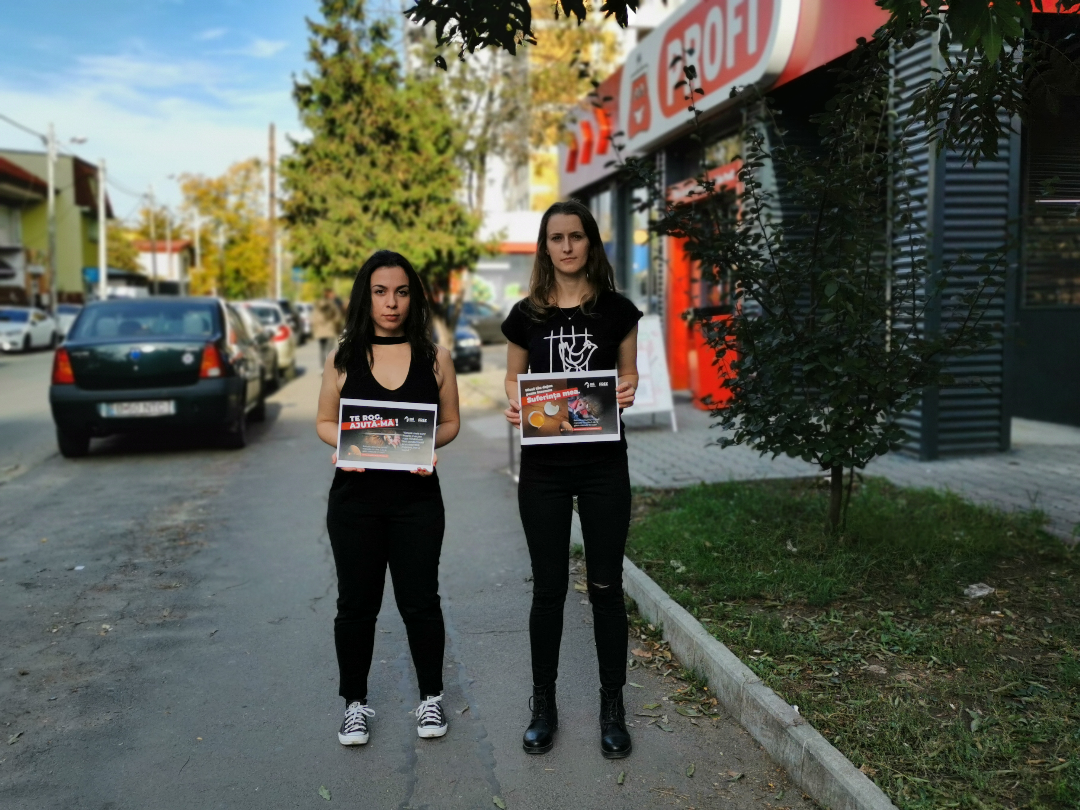Portret găină 4