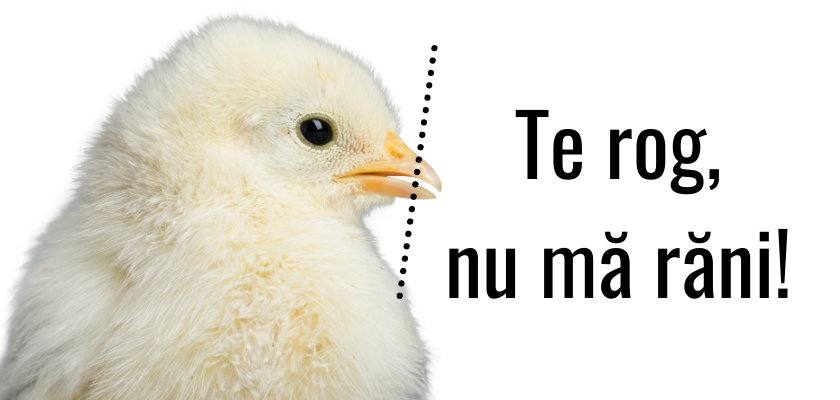 Te rog nu mă răni