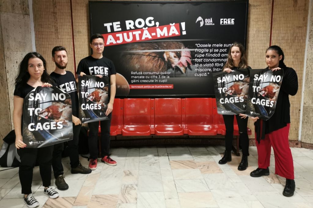 Reacțiile oamenilor la campania „România fără cuști”