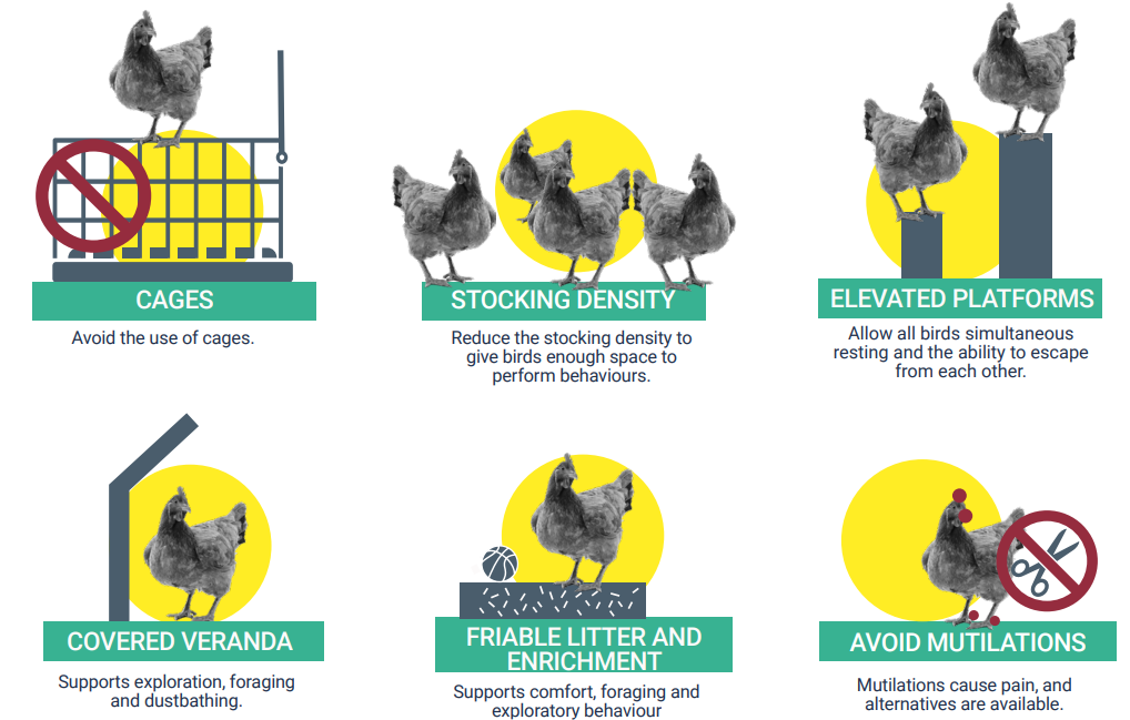 End the cage age!