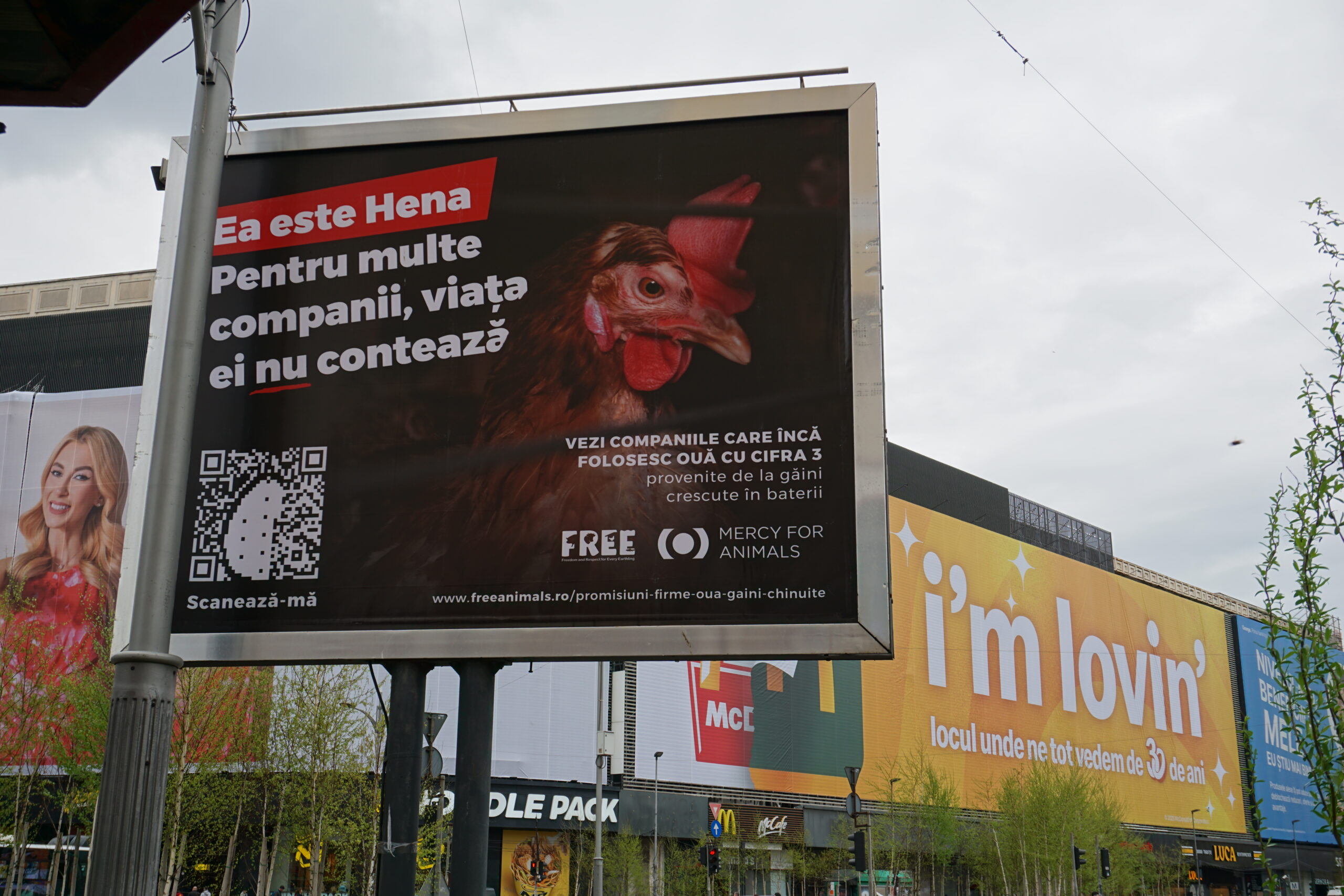 Hena își spune povestea în București