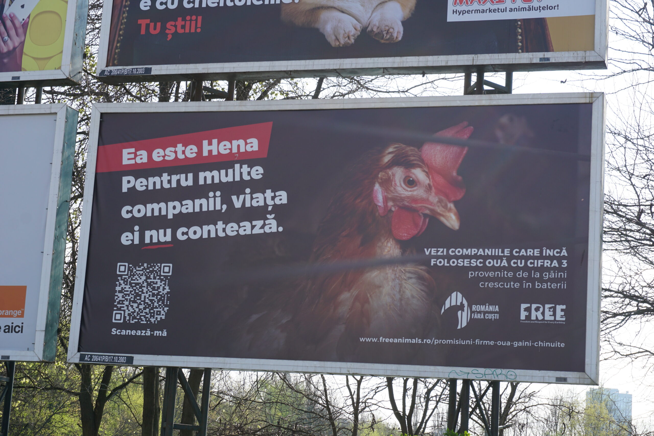 Hena își spune povestea pe Strada Constantin Dobrogeanu Gherea