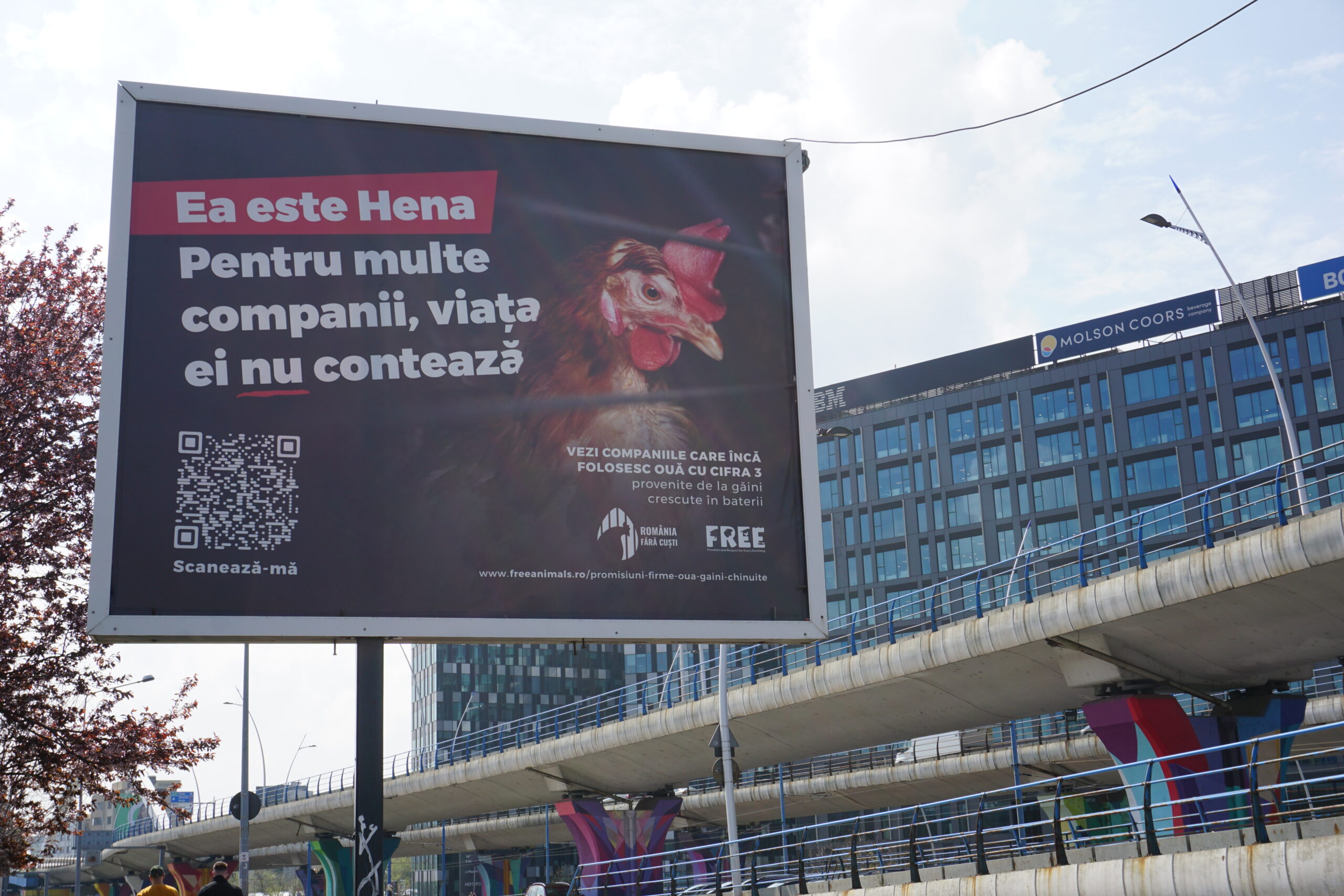 Hena Grozăvești