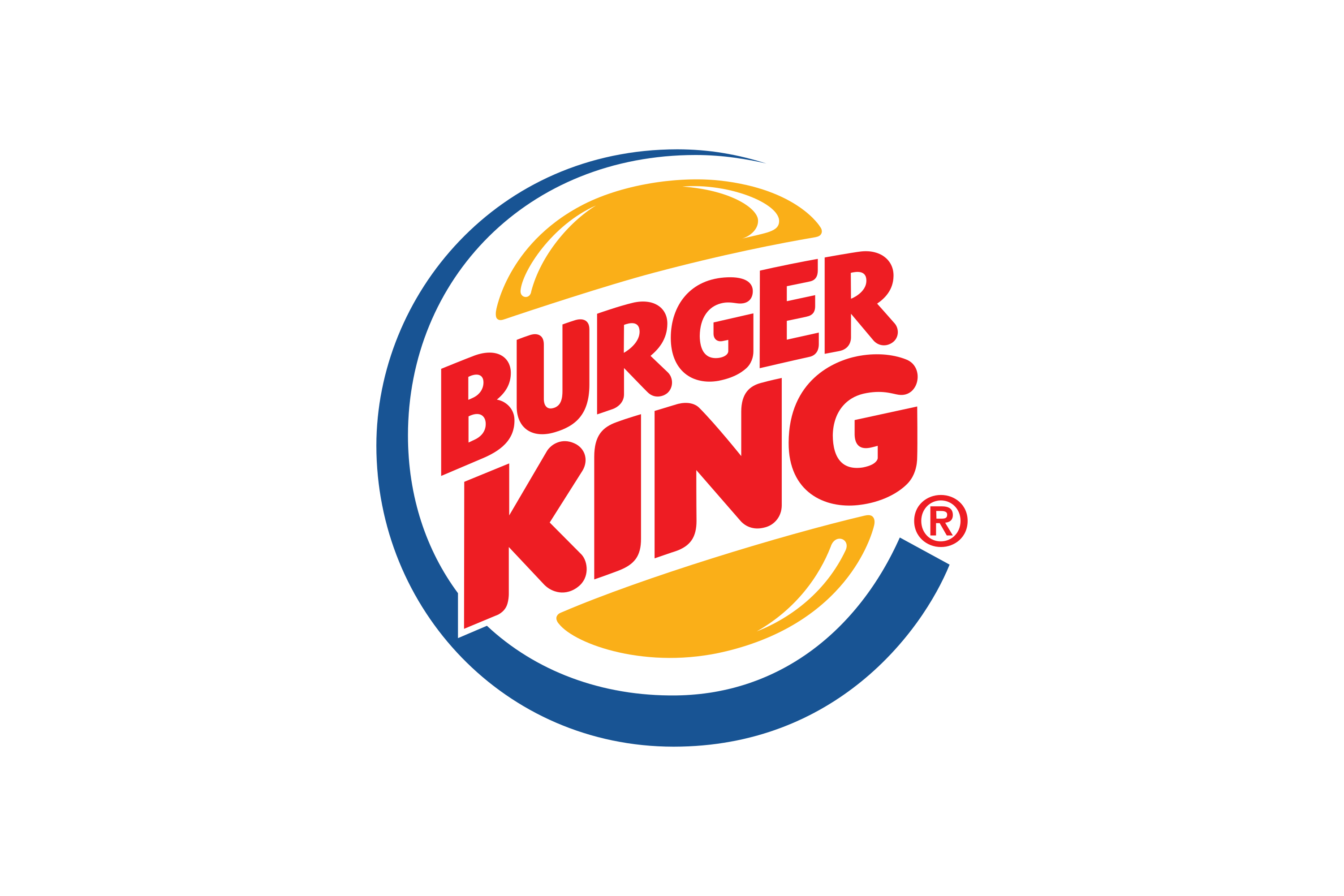 Burger King Logo