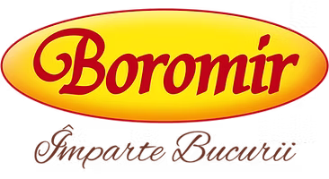 Boromir Logo