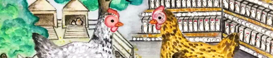 O viață fericită vs o viață chinuită: Un dialog între o găină liberă și sora ei dintr-o cușcă